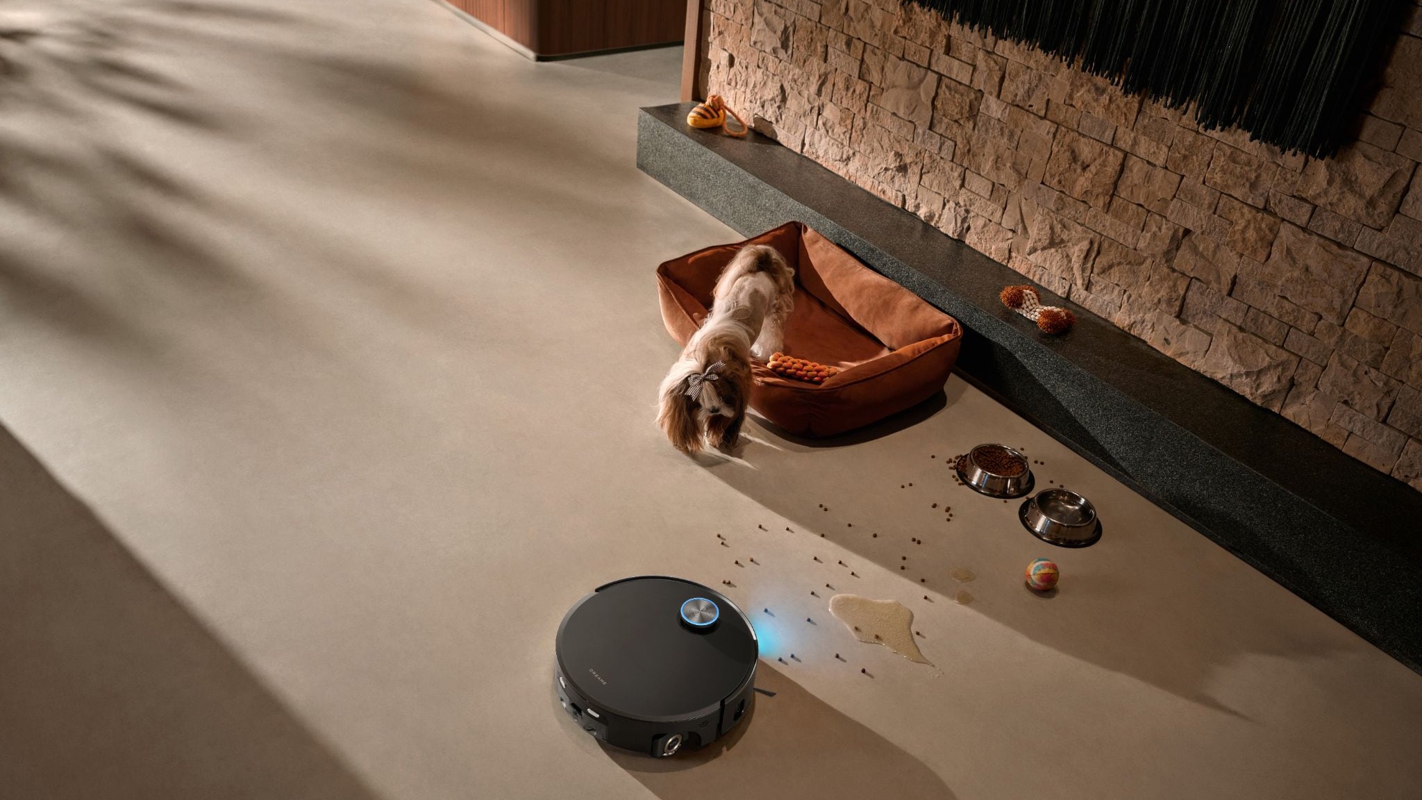 Robot Dreame