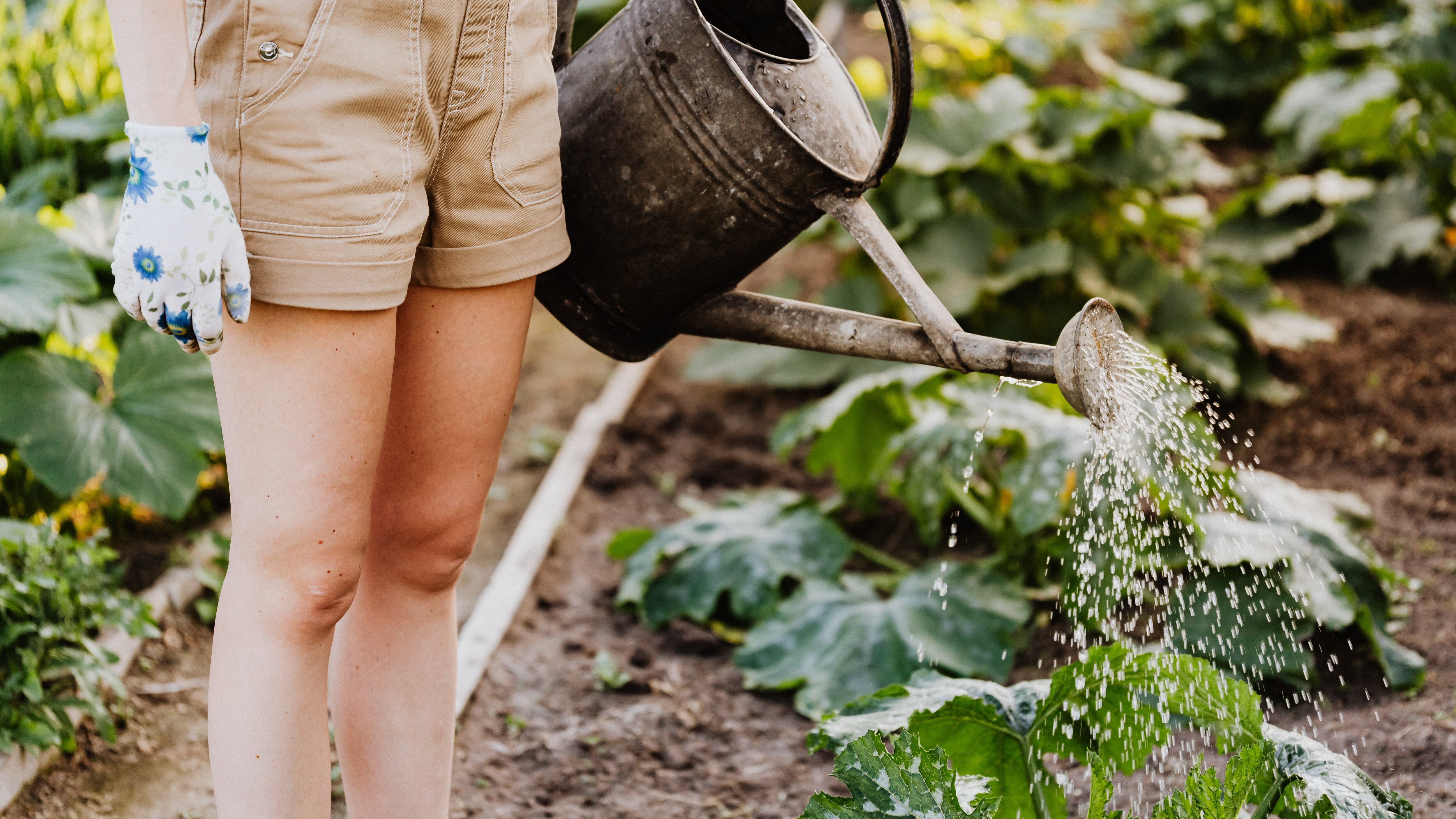 I "farmer" inglesi temono il futuro