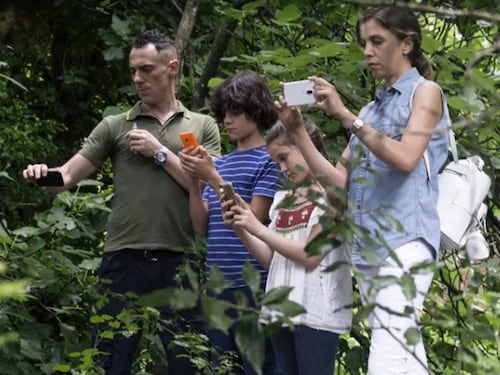 I fratelli D'Innocenzo periferia da capolavoro