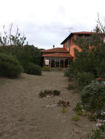 Grillo mascherato nella villa al mare 4