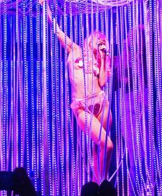 Miley Cyrus chiude il tour con Pamela Anderson 7
