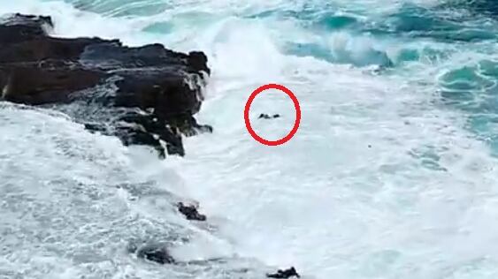 Volevano il selfie perfetto ma il mare li travolge: in salvo coppia di turisti