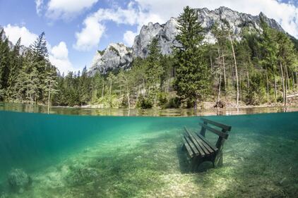 Dall'Austria arriva il mondo subacquo 8