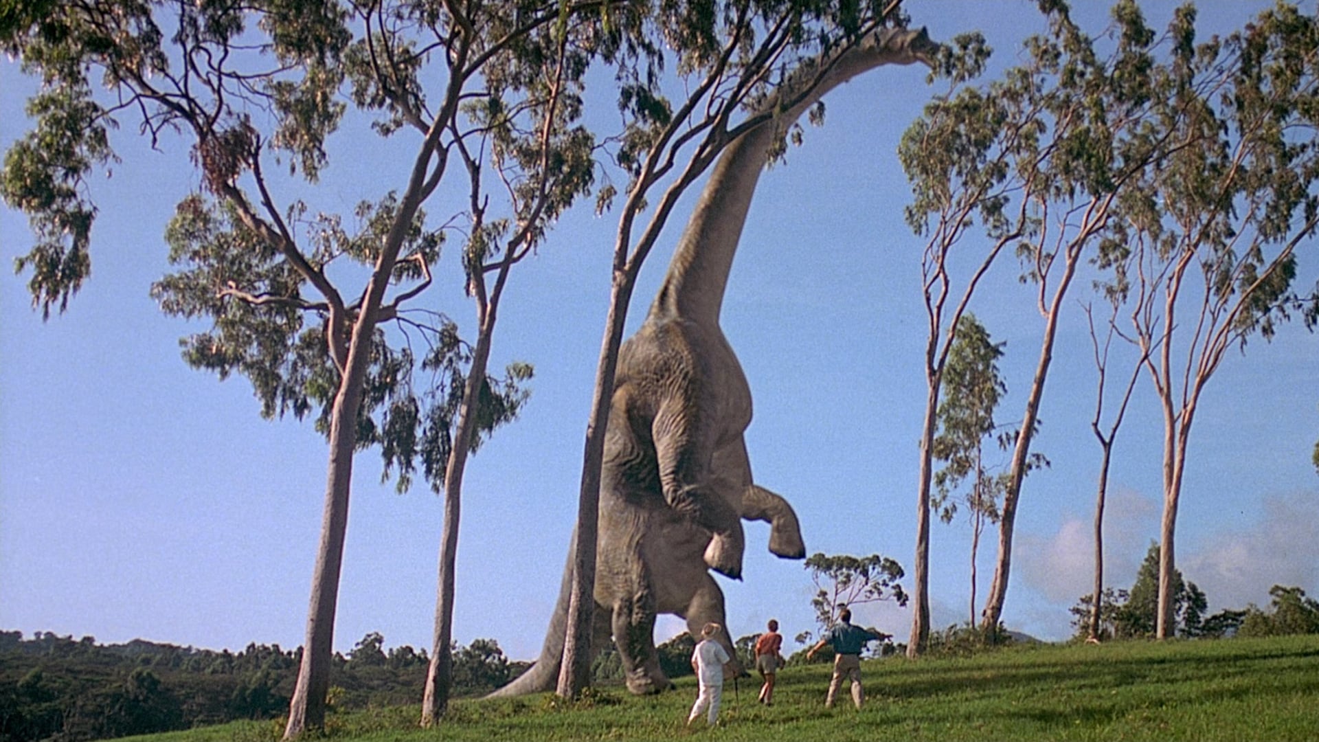 Jurassic Park fa 30 anni: 7 curiosità sul film di Steven Spielberg