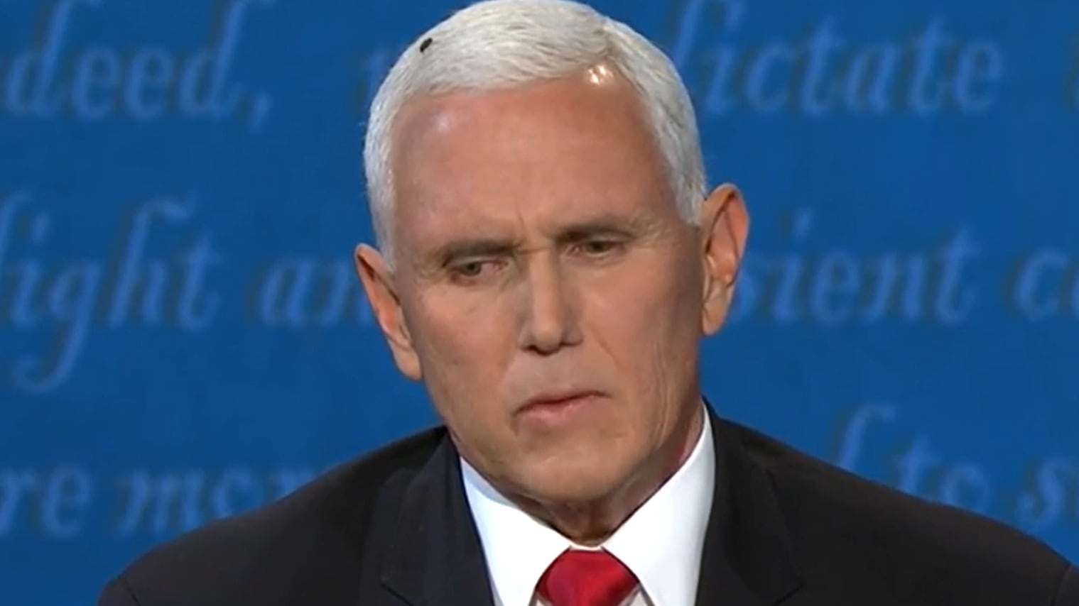 Mosca sui capelli di Pence: i social si scatenano