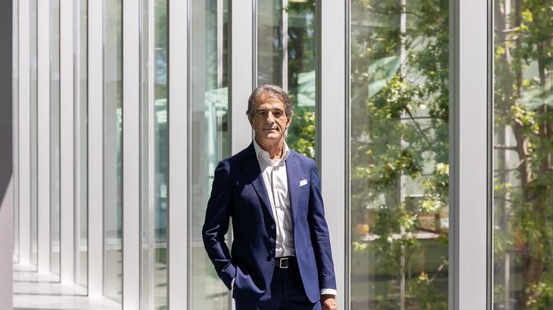 Deforestazione, Federlegno scrive ai ministri: "Imprese e ambiente a rischio"