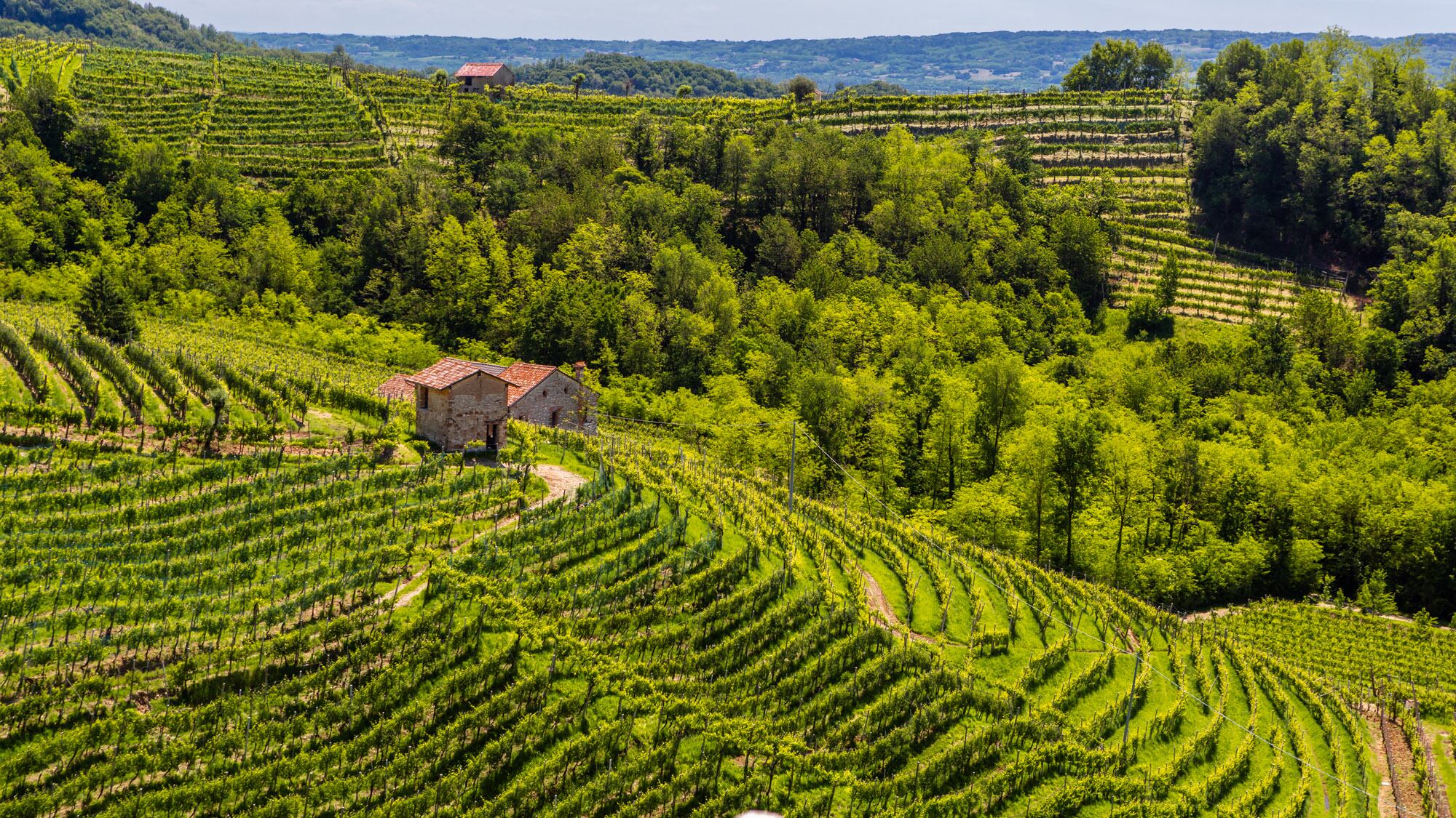 Le Colture, il nuovo racconto del Prosecco