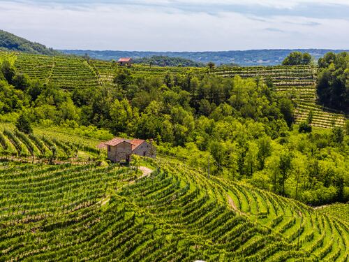 Le Colture, il nuovo racconto del Prosecco