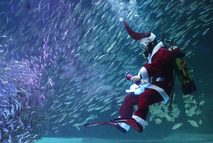 Babbo Natale sott'acqua, con i pesci di Seul 2
