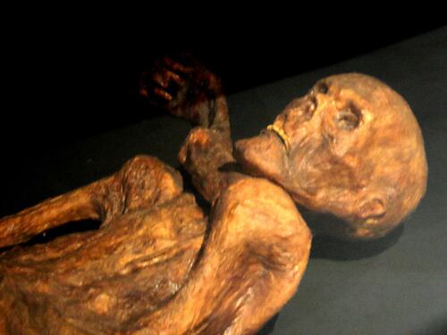 Mummia Ötzi, trovate tracce di genetiche: era affetto da Papilloma virus