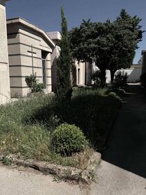 Cimitero Santa Maria 4