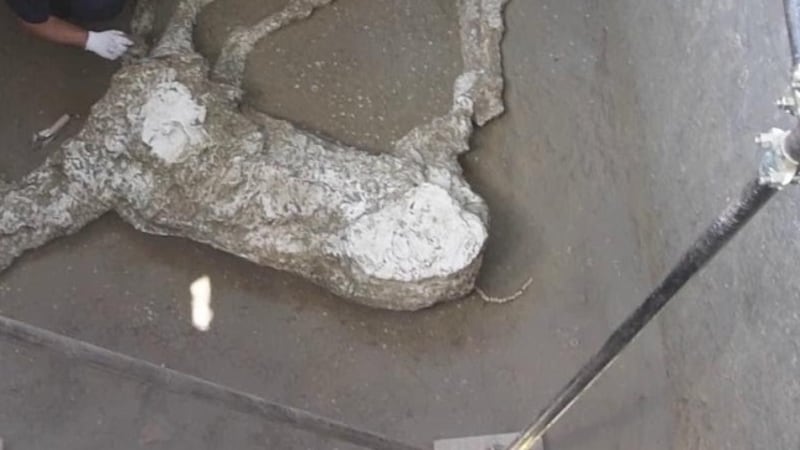 Pompei, trovato cavallo con ricca bardatura militare
