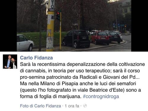 Renzi depenalizza, il Pd coltiva. E la cannabis finisce sui semafori
