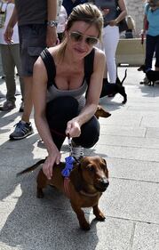 La "Sausage Walk" a Milano: sfilano i bassotti 3