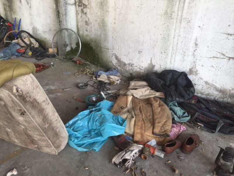 Il centro di Ferrara ora è una casbah 15
