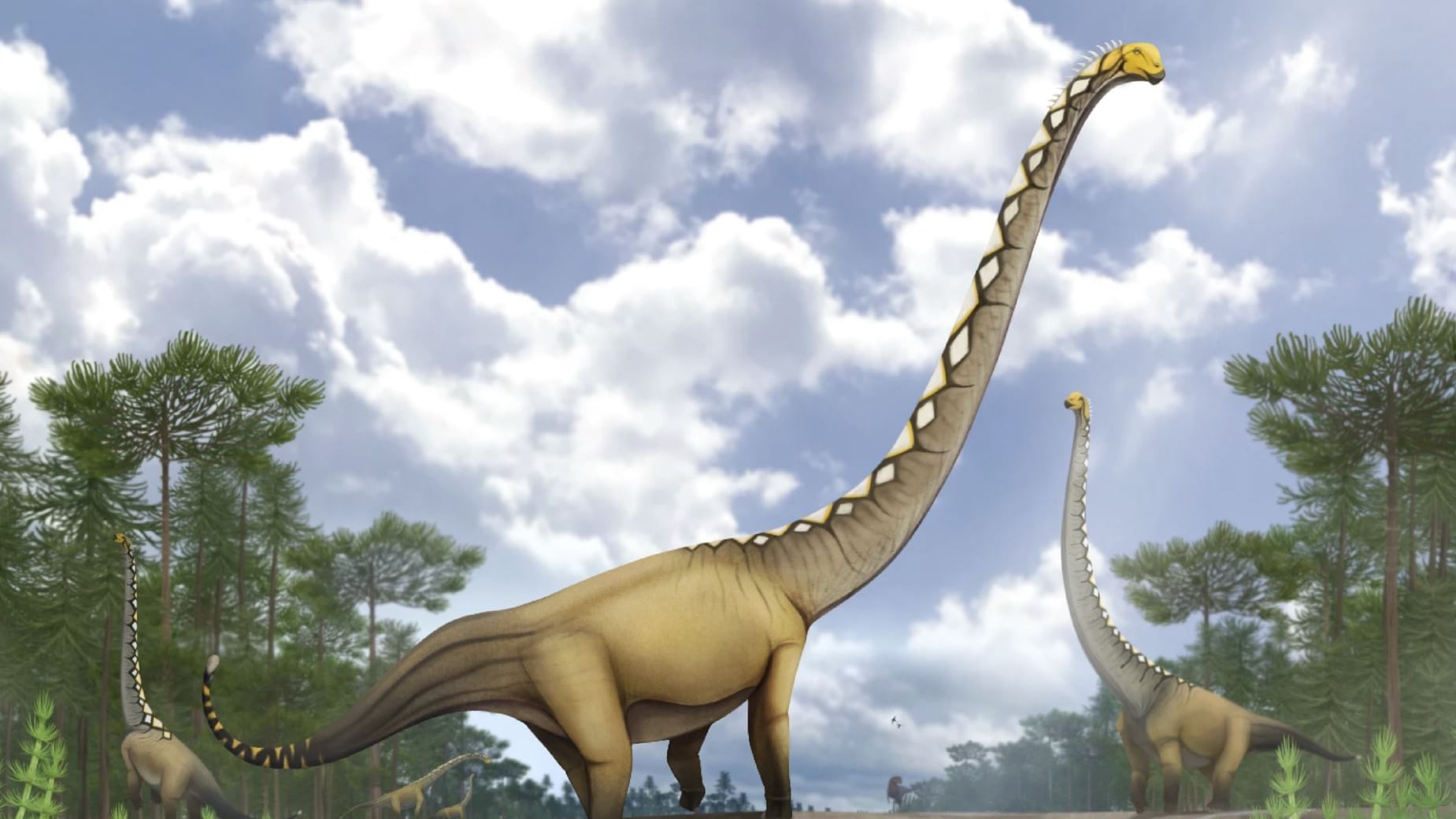 Un nuovo dinosauro gigante scoperto in Thailandia grazie a una sola vertebra