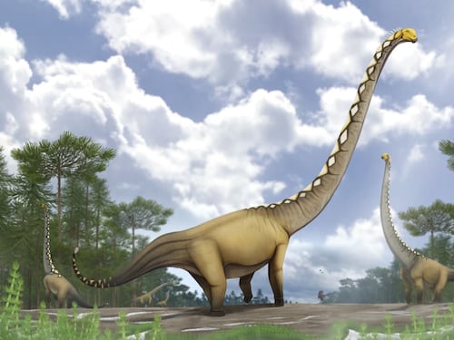 Un nuovo dinosauro gigante scoperto in Thailandia grazie a una sola vertebra