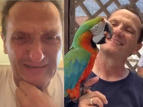 "L'immigrato ha lapidato il mio pappagallo e ora è già libero": il racconto choc di Salvi