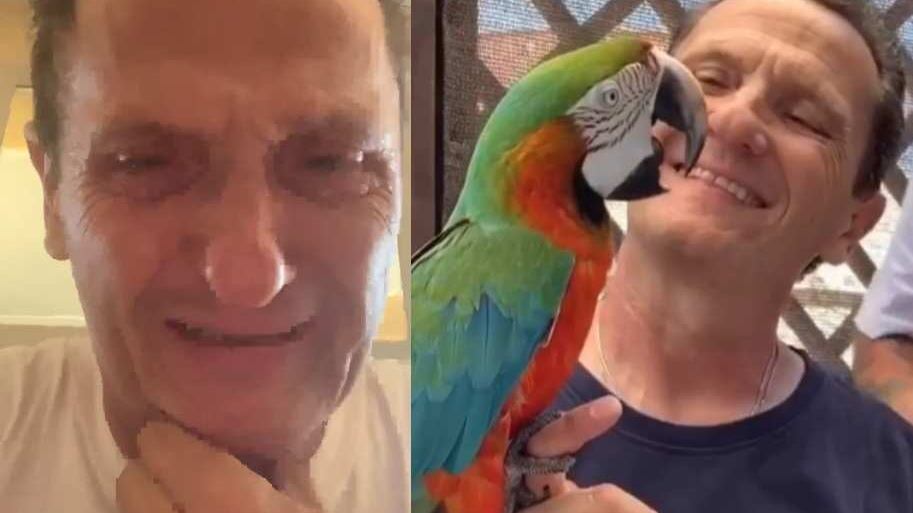"L'immigrato ha lapidato il mio pappagallo e ora è già libero": il racconto choc di Salvi