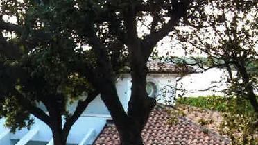 La coppia Fini-Tulliani e il sogno nel cassetto: la villa all'Argentario