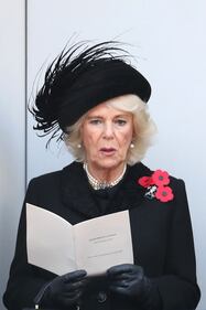 Il Principe Carlo e Camilla Parker Bowles: foto 7