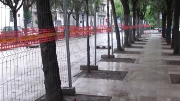 Bari, 400mila euro per rifare la piazza. Ma le aiuole sono sbagliate