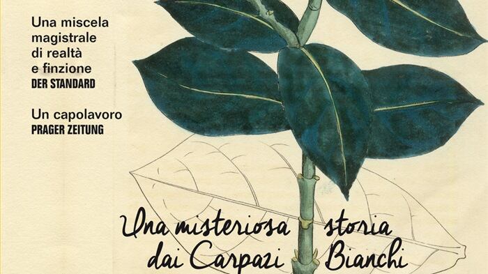 Caccia alle streghe, ma per "salvarle"
