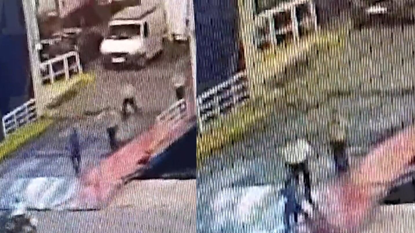 Il passeggero è in ritardo e l'equipaggio lo spinge in mare: muore annegato