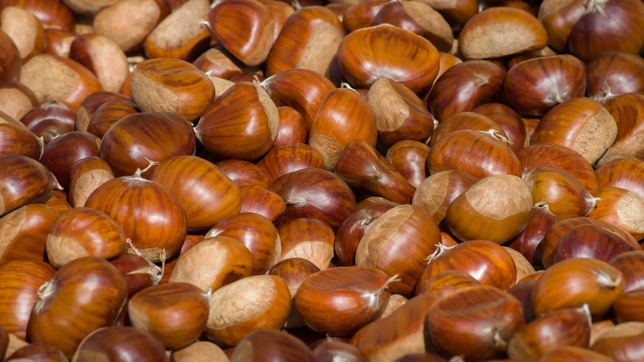 Tutto sulle castagne, proprietà e benefici