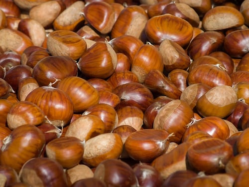Tutto sulle castagne, proprietà e benefici