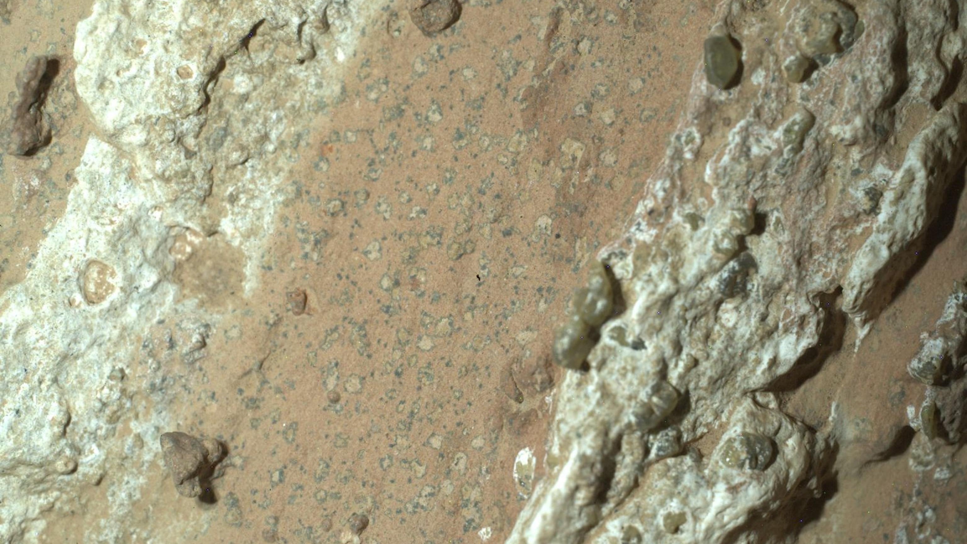 Marte, indizi di vita: ecco cosa c’è davvero dietro l’annuncio Nasa