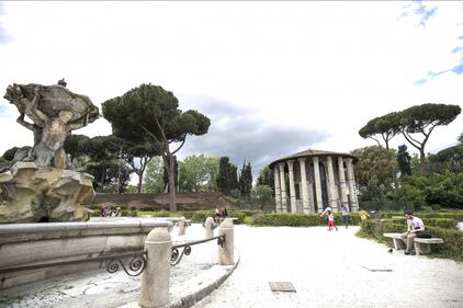 Le meraviglie di Roma: i pini marittimi in città 14