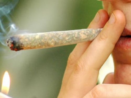 La cannabis torna "leggera": reintrodotta la differenza dalle droghe pesanti