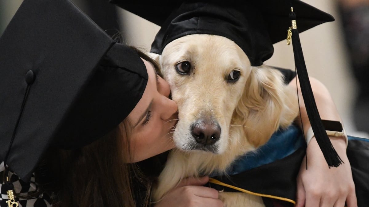 Griffin, il primo cane che ha ottenuto una laurea