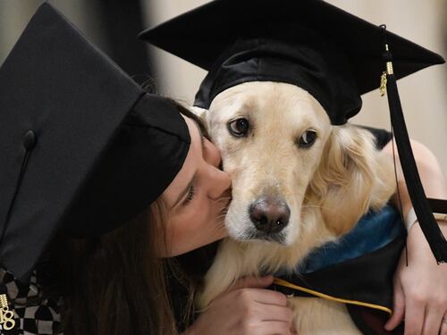 Griffin, il primo cane che ha ottenuto una laurea