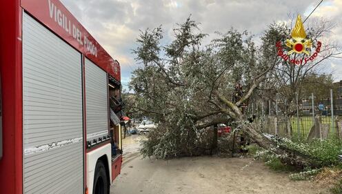 Maltempo e disagi in Romagna 6