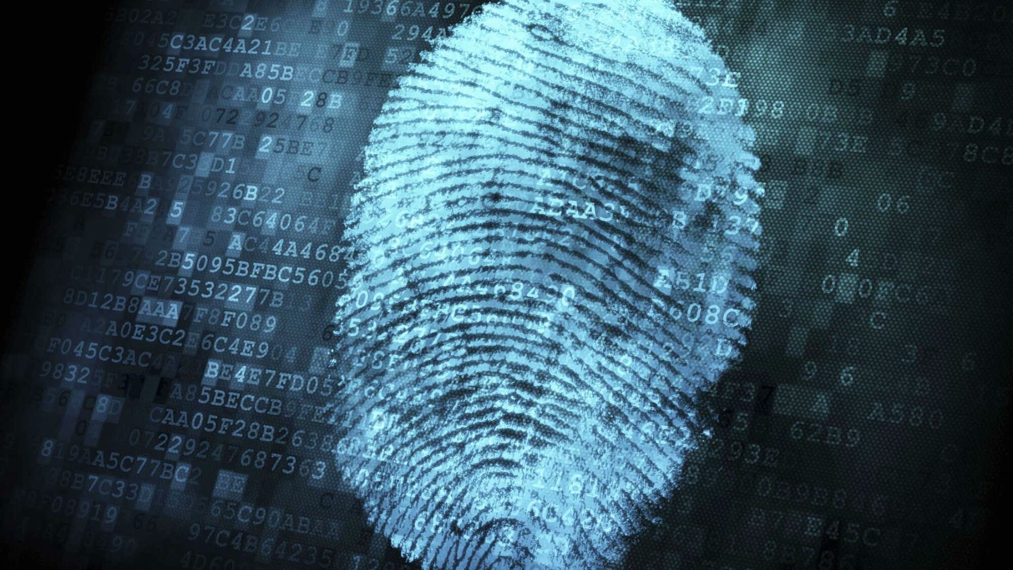 Cosa sappiamo di Mysterious Team Bangladesh, gli hacker che hanno attaccato gli aeroporti italiani