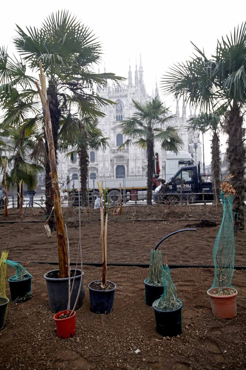 I banani arrivano in piazza Duomo 2
