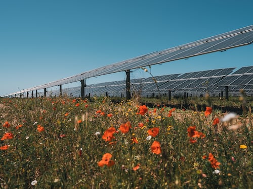 ebitts: l’autoproduzione virtuale di energia rinnovabile senza nessuna installazione