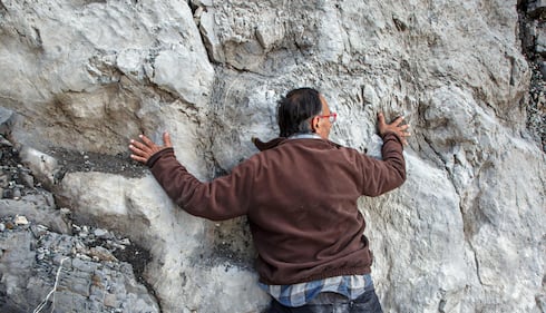 Scoperta al Parco dello Stelvio: orme di Plateosaurus, dinosauro erbivoro 2