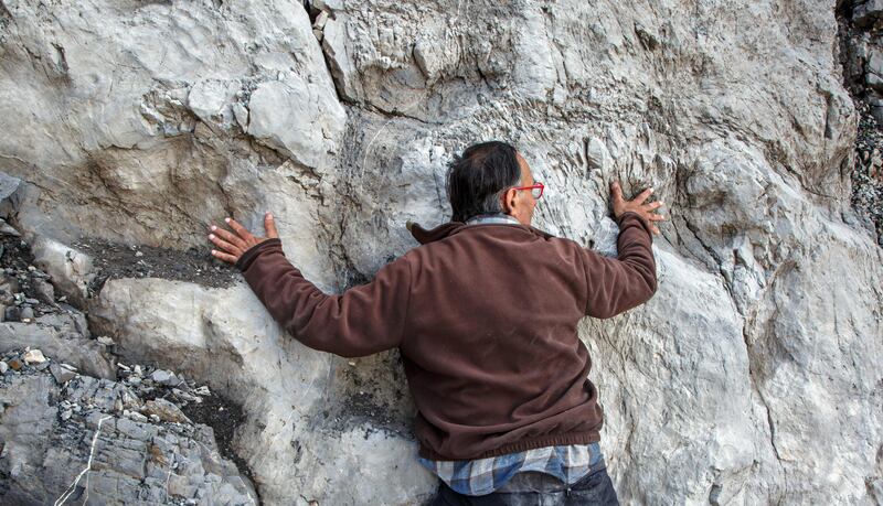 Scoperta al Parco dello Stelvio: orme di Plateosaurus, dinosauro erbivoro 2