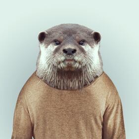 Avete mai visto animali vestiti da esseri umani? 8