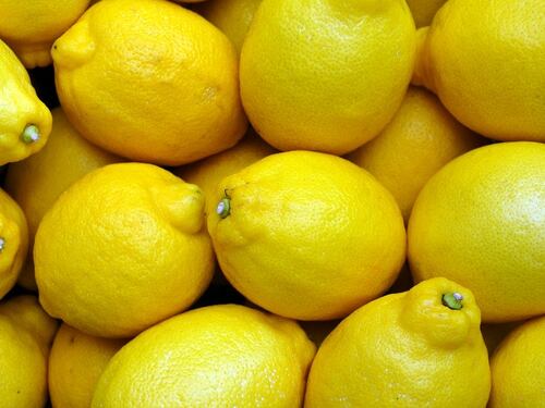 Distrutti 20mila chili di limoni turchi arrivati in Sicilia: "Pericolosi per la salute"