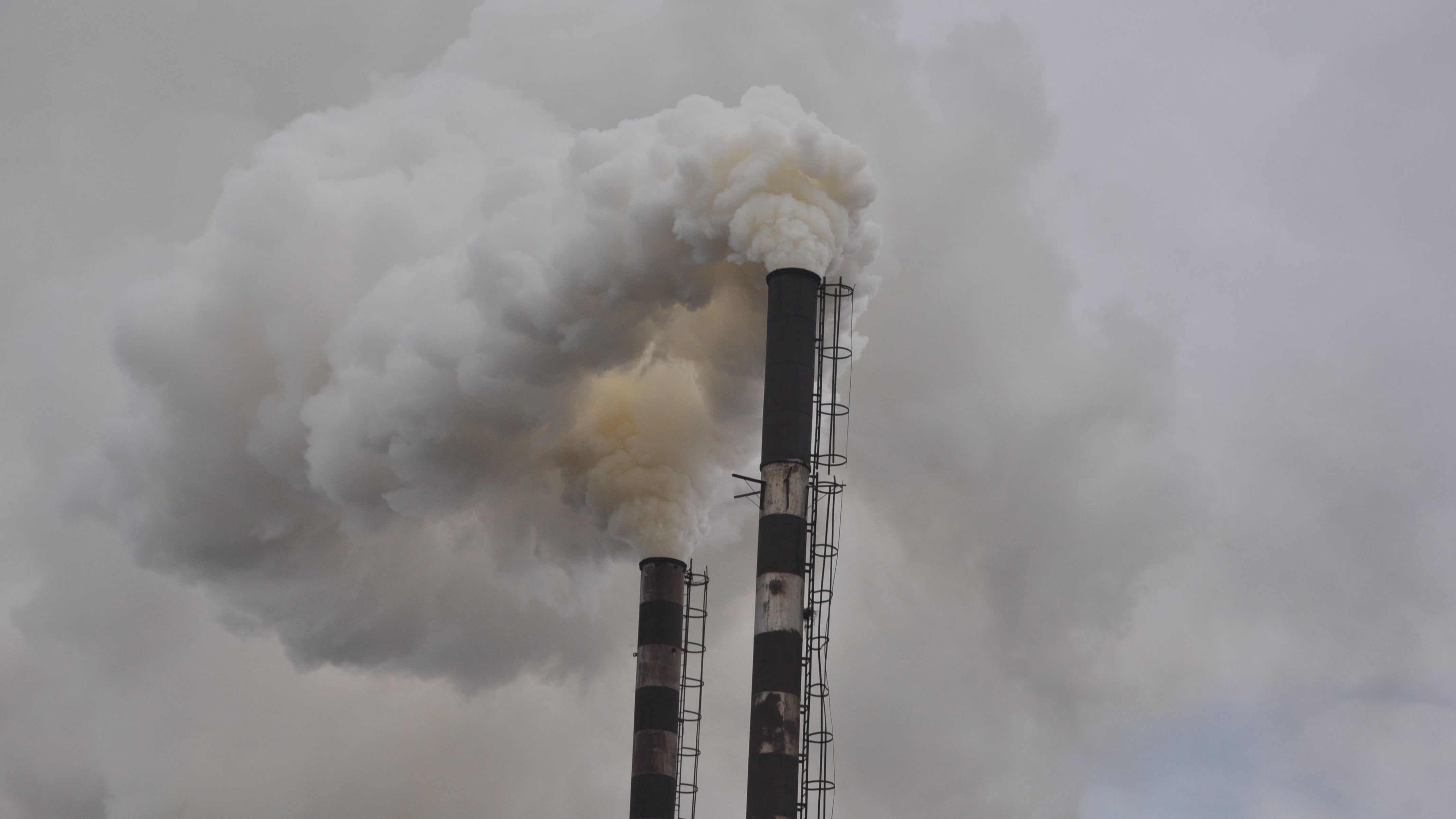 Carbon fossile che brucia