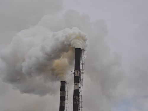 Il governo sconfigge il fossile
