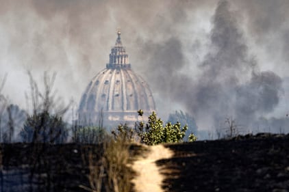 Incendio di pineta Sacchetti a Roma 6