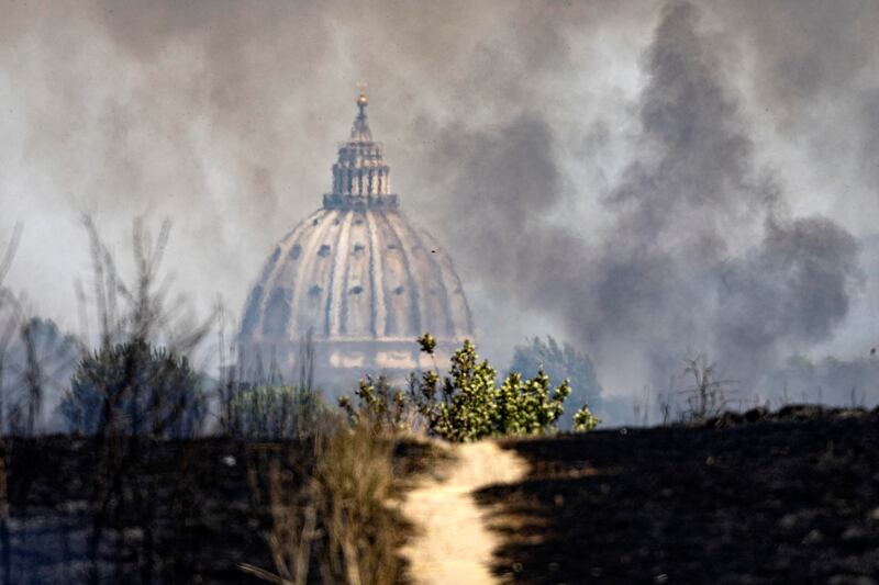 Incendio di pineta Sacchetti a Roma 6
