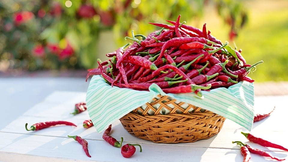 Consumare regolarmente peperoncino fa bene al cuore
