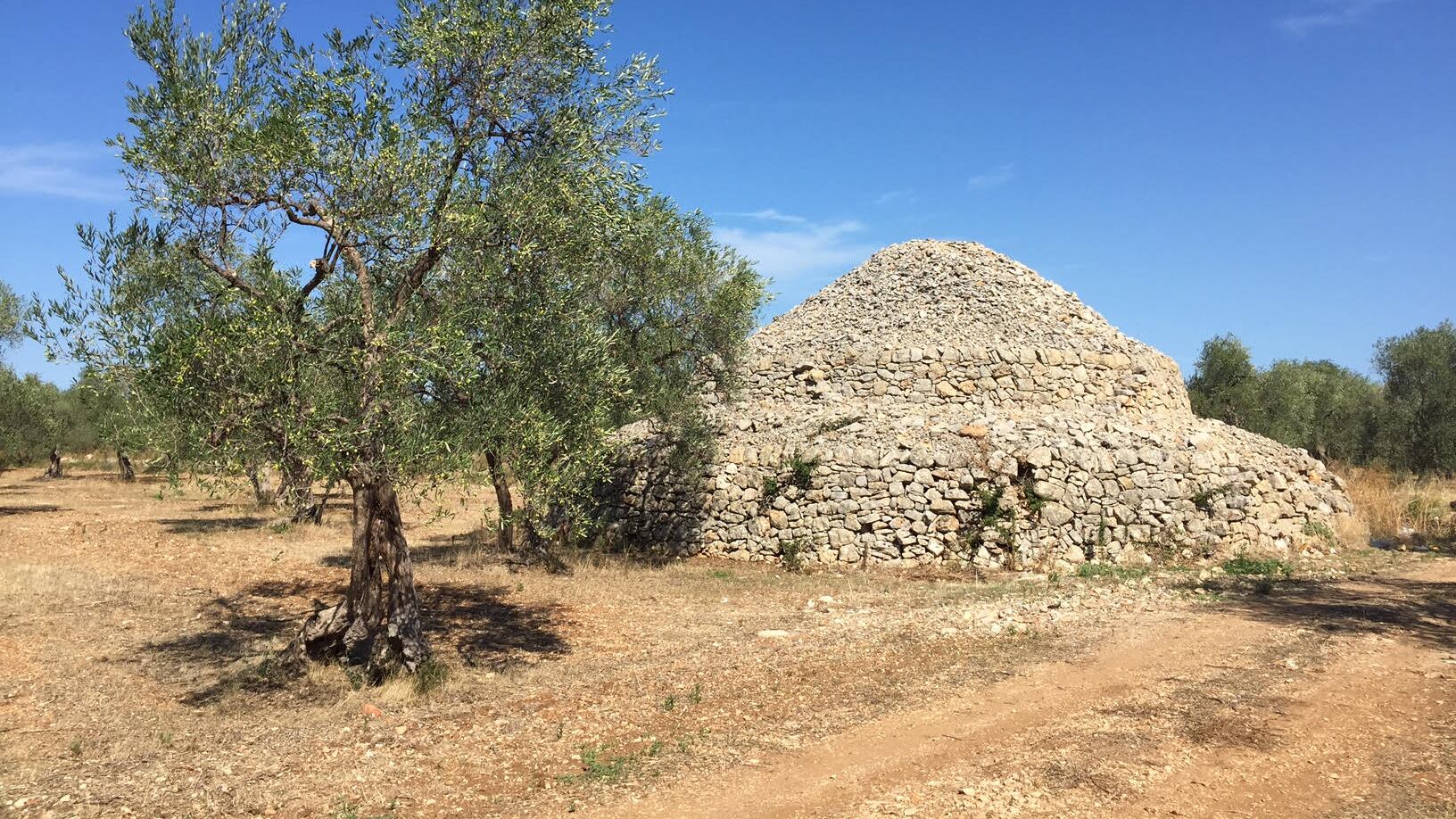Ladri e furti nei campi: Bitonto è un "Far West"