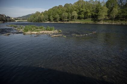 Il coronavirus "ripulisce" le acque del fiume Po 5